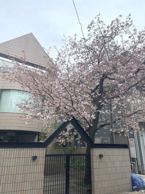 ワイズビルの外観画像
