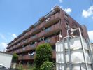 リヴィエール一橋学園の外観画像