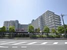 マンハイム大宮の外観画像