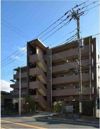 オキザリス(オキザリス)の外観画像