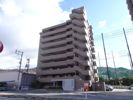 パルメゾン野間園 弐番館の外観画像