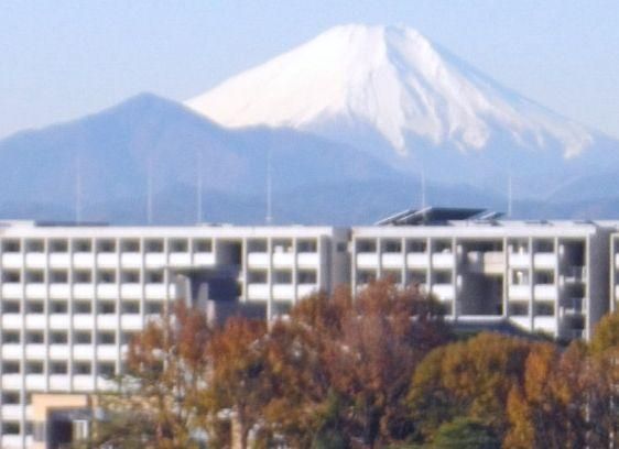 プレジャーガーデン一橋学園の外観画像
