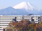 プレジャーガーデン一橋学園の外観画像
