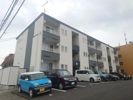 トレントの外観画像
