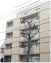 ー学生様おすすめーイル・デュ・ボヌールの外観画像