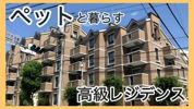 15020の外観画像