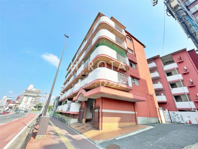 桃園VIPマンション B棟 210号室の外観画像