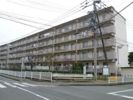 室見団地12棟の外観画像