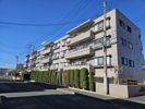 ドリーム大宮盆栽町の外観画像