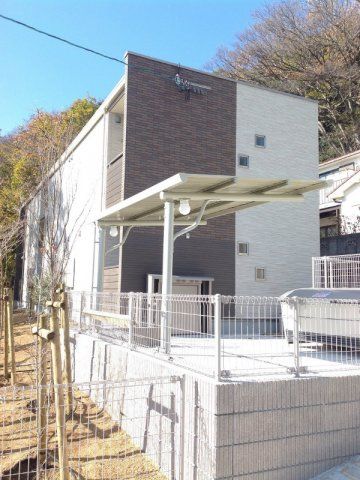 クレイノヤマボウシの外観画像
