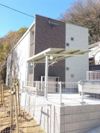 クレイノヤマボウシの外観画像