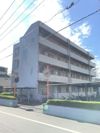 ベルシオンミスミの外観画像