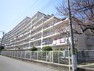 ウィンザーハイム志木の外観画像