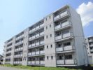 ビレッジハウス石宮1号棟の外観画像