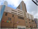 セントラルタワー 1503号室の外観画像