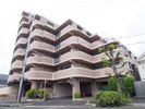 ライオンズマンション楠葉並木通の外観画像