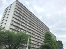 ボナハイツ中川A号棟の外観画像