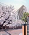 イニシア板橋桜レジデンスの外観画像