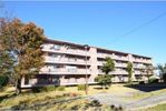 鍋屋上野住宅6号棟の外観画像