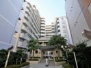 エクセラート高井田の外観画像