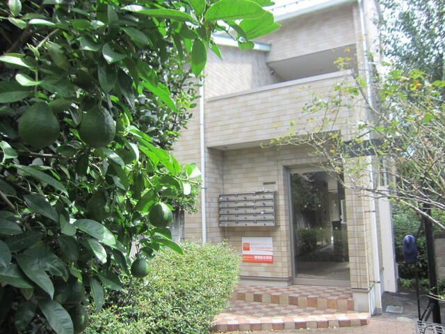 SERENDIPITYの外観画像