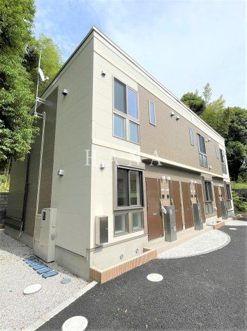 ガジュマルの樹の外観画像