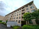 西部郊外マンション 湘南鷹取台P棟の外観画像