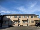 マデラシトリンの外観画像