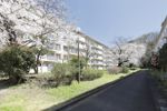入間黒須団地2号棟の外観画像