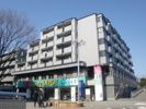 サファーレ中川の外観画像