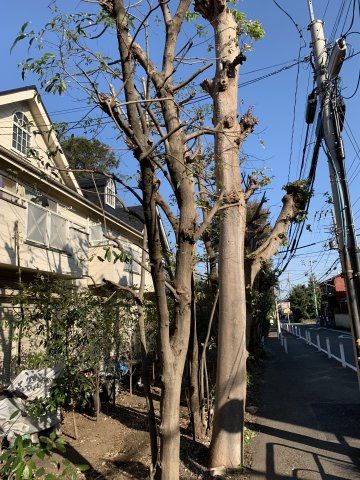 ハイツ市川の外観画像