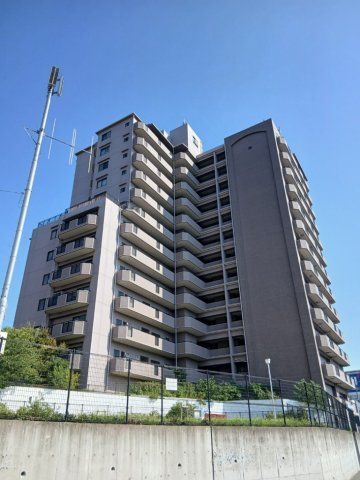パインフィールド緑地公園の外観画像