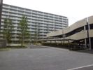 Brillia多摩ニュータウン E棟の外観画像