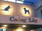 Cadog Lilyの外観画像