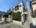 マメケイジュの外観画像