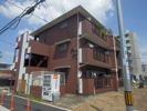 ロキシーエクセレントアローの外観画像