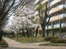 URひばりが丘パークヒルズ 6-8号棟503号室の外観画像