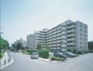 UR新柳沢 13号棟704号室の外観画像