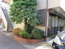 ブラウニーアネックスの外観画像