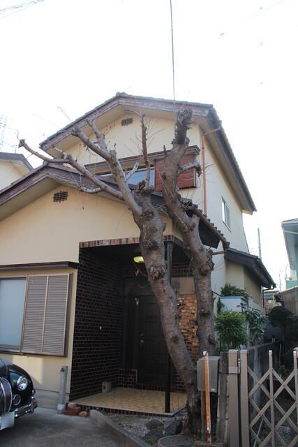 関貸家の外観画像