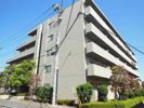 オーキッドグランデふじみ野の外観画像