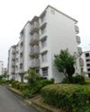室見団地19棟の外観画像