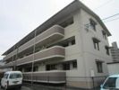 川口マンションの外観画像