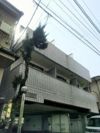 ニュー菅沼ビルの外観画像