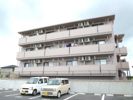 South Verushinaの外観画像