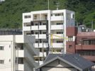 Aクロス武の外観画像