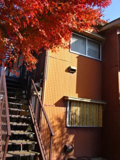 トヨハイツの外観画像