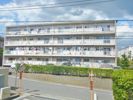 第二市村ハイツの外観画像