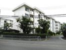 三井一次住宅 A12棟の外観画像