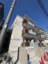 F asecia dumalisの外観画像